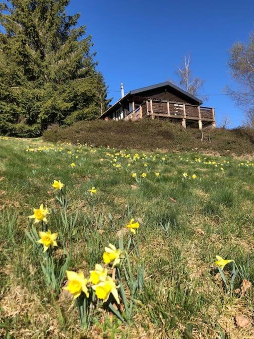 Le Chalet Des Coeurs 勒索里 外观 照片